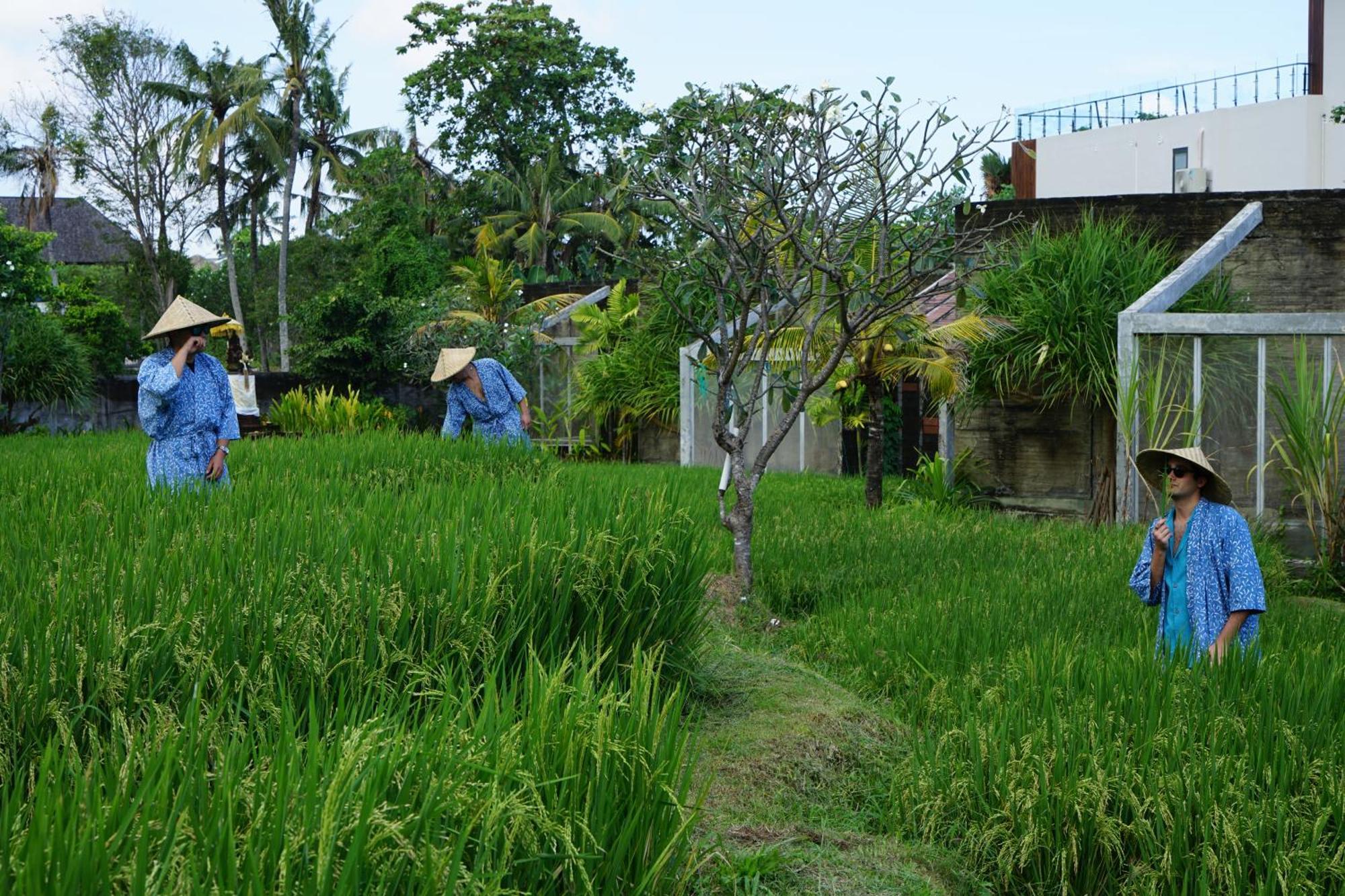 Shore Amora Canggu Εξωτερικό φωτογραφία